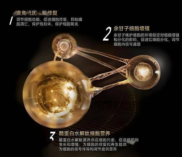 华昊家族珍藏马瑟兰：匠心酿造，至臻至美