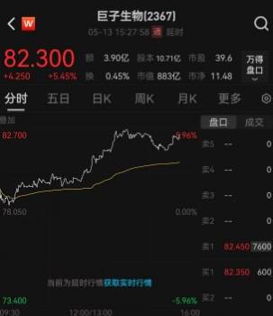 枞阳县人民代表大会公告